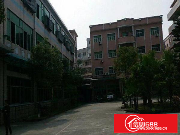 清溪罗马空出一楼厂房2000平方，首层楼高5米