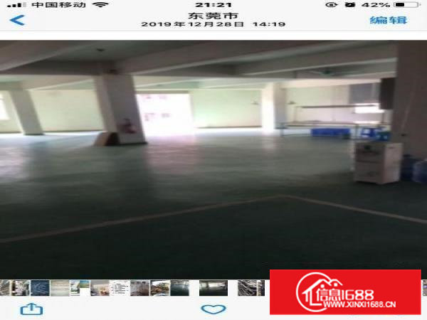 出租横沥镇四海工业区