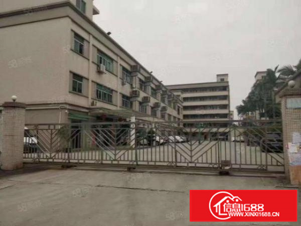 卢边现成制衣厂出租二楼2500方带现成制衣线路