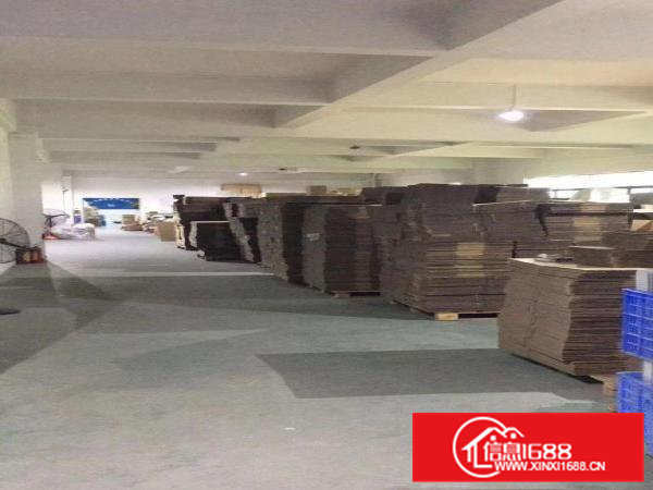 大朗镇独门独院厂房出租原房东