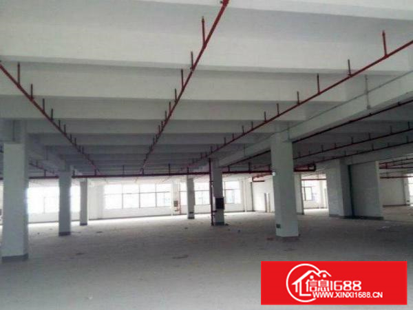 镇隆原房东一楼3000平厂房出租特价可分租