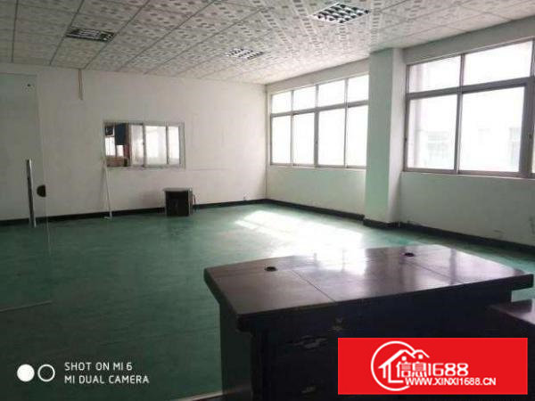 树田新出楼上带部分装修厂房1000平