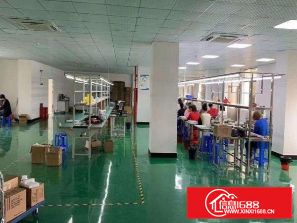 塘厦科苑城豪华办公室装修，现场水电线路，楼上1400平方