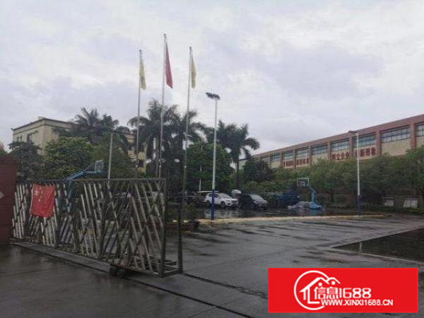 横沥工业区一楼钢构2000方，大小可分，滴水13米，砖墙到顶