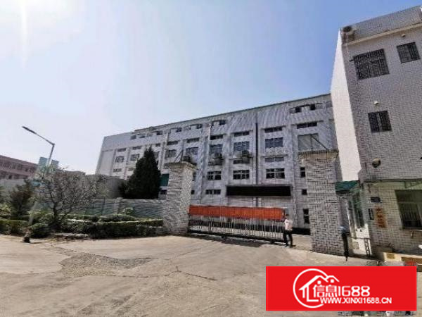 清溪原房东标准12200平全新地坪漆带喷淋水电齐全