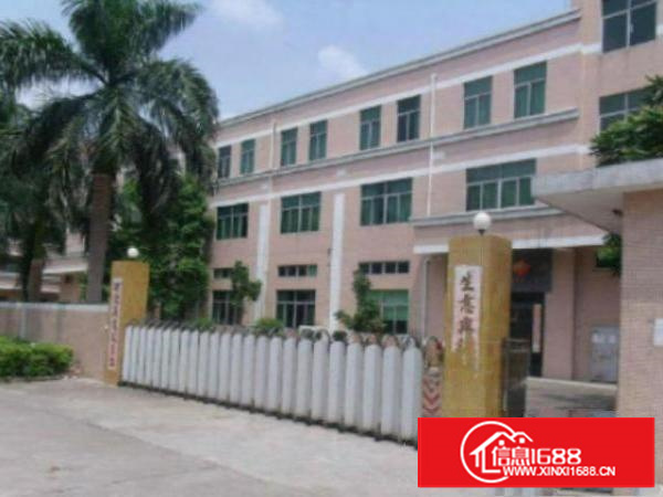 万江现有4800平方标准独院厂房火爆招租有电梯，消防喷淋