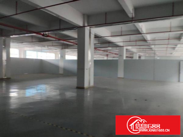 原房东大型工业园厂房出租上市公司首选