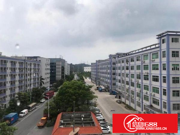 坂田稀有房源620平，不要再错过，实用率8.5层，