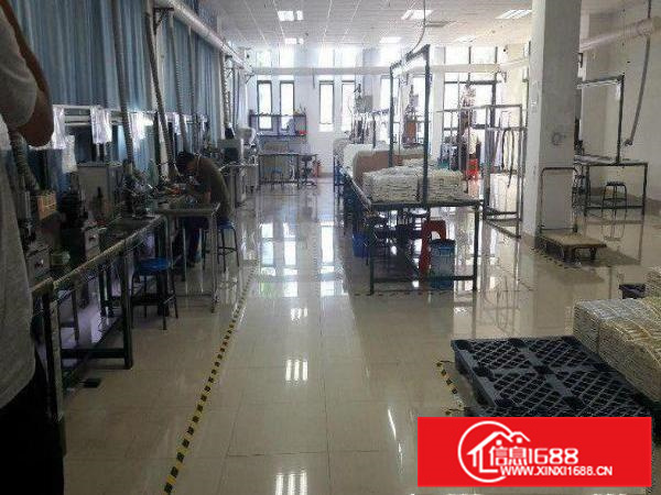 小独院一楼450平方带现成装修办公室整租