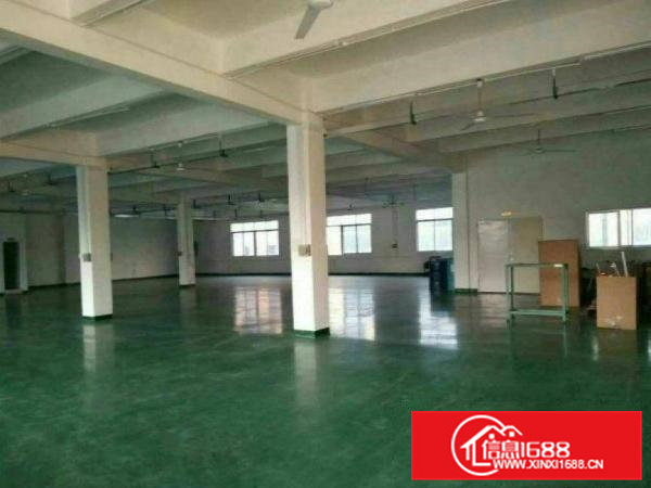 常平卢屋工业区二楼精装修厂房950平米出租空地大