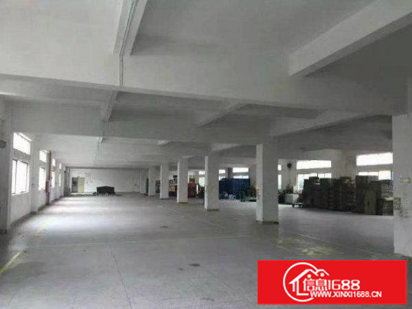 龙岗坪地带牛角厂房2500平米招租