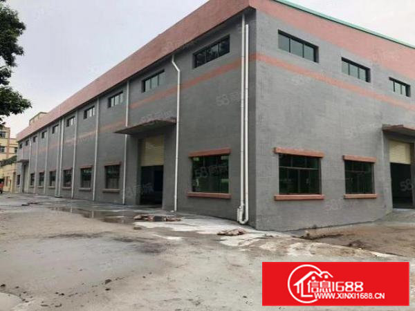 大岭山全新砖墙到顶独院厂房3000平方出租带牛角位