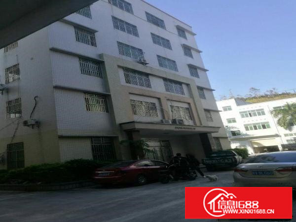 龙镇宝龙独院带办公楼厂房招租