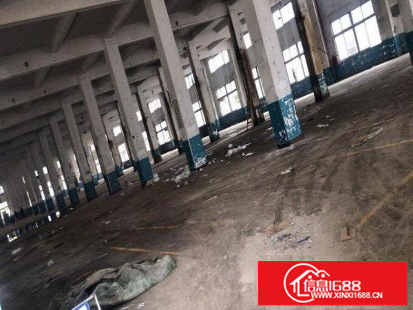 横岗7米层高原房东厂房出租