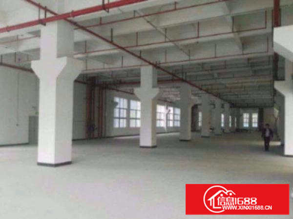 平湖白泥坑精品独院厂房3100平出租.空地大形象好.带牛角