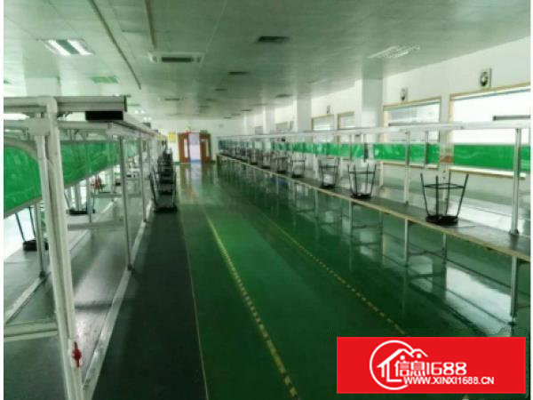 凤岗油甘埔带豪华装修1200厂房招租