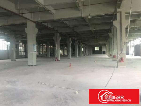 清溪原房东厂房招租12000一楼带牛角7米高