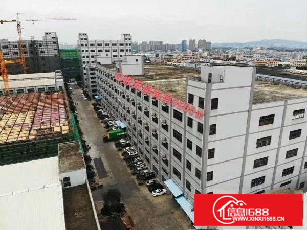 华南工业园大型重工业厂房4楼特价出租