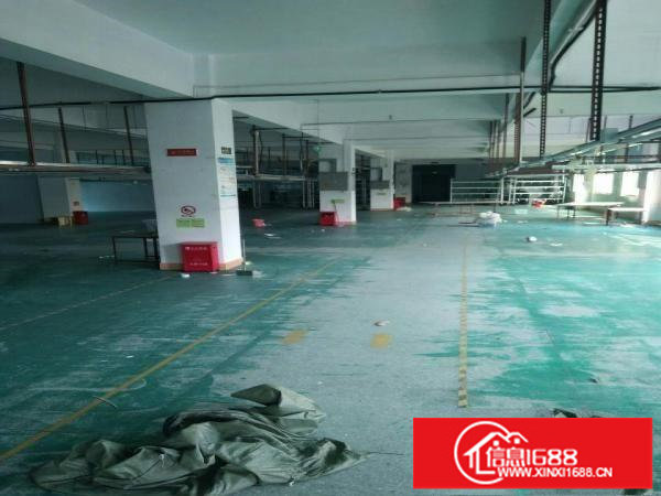 原房东二楼1500平方，带装修出租