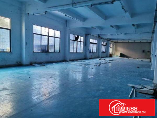 护安围村标准一楼300平米，带精装修办公室厂房出租