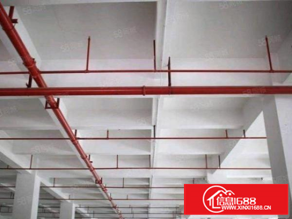 寮步横坑村委产业园厂房800带宿舍交通便利好招工