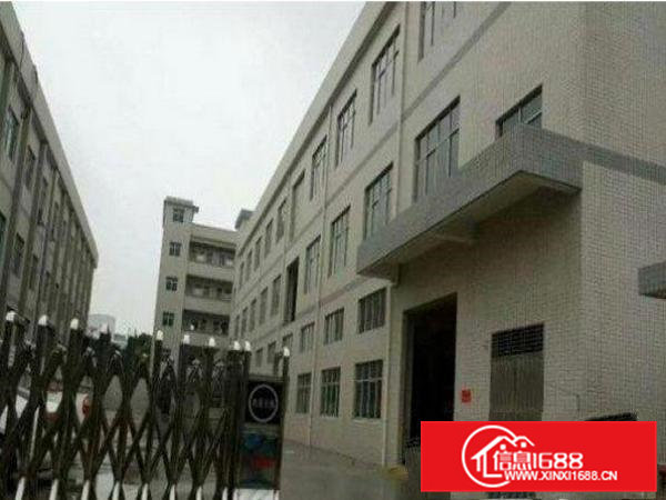 常平漱旧附近一楼1000平米厂房招租带装修交通便利