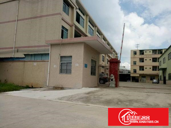 常平镇金美村标准厂房分租二楼1000平米