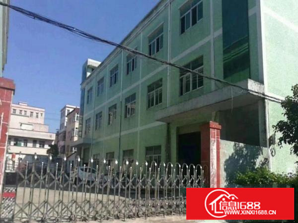 坪山新区比亚迪路旁新出独院厂房3层3900平宿舍1800