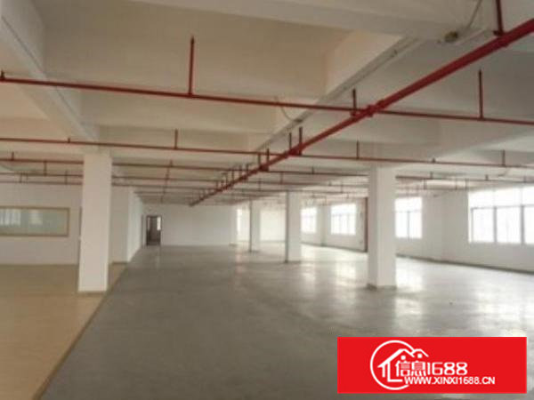 桥头经典小独院厂房1300平主线到车间精装修