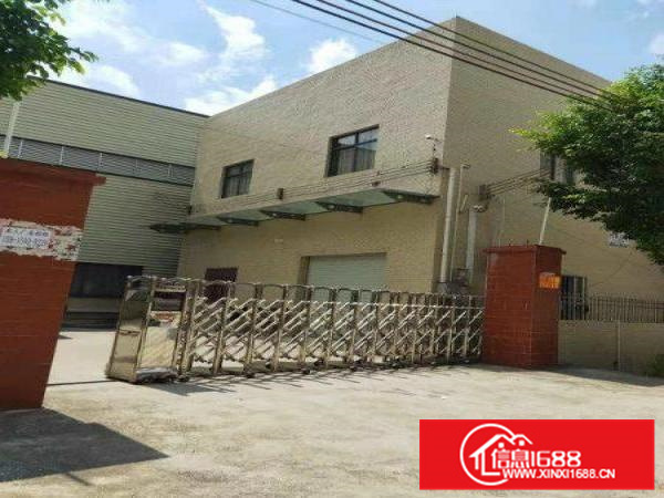 沥林镇独门独院厂房火爆招租.！！！