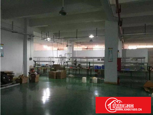 平湖上木古标准一楼厂房1200平方带办公室水电齐全