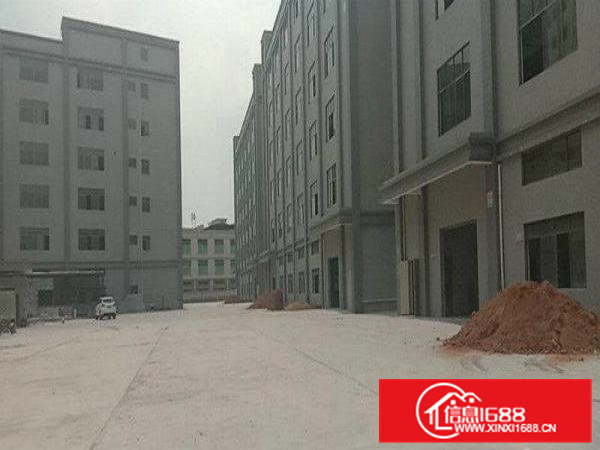 火热推出凤岗镇全新厂房52000平上市公司形象