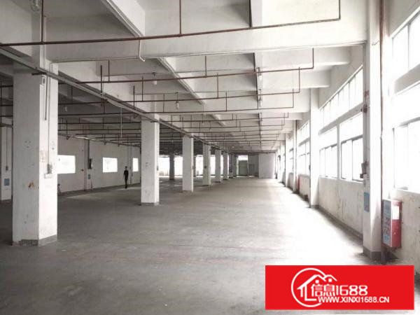 清溪镇九成新厂房500起租，带行车前台办公室！