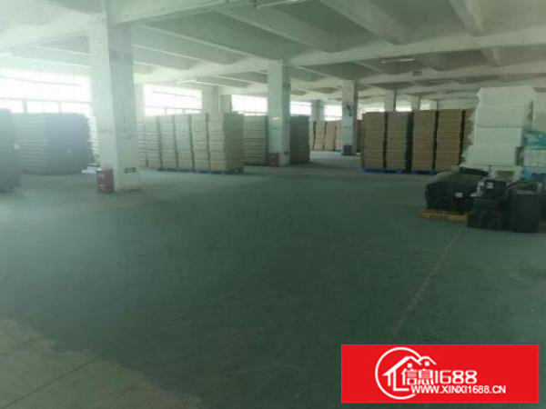 平湖新木村新出原房东厂房4800平可大小分租