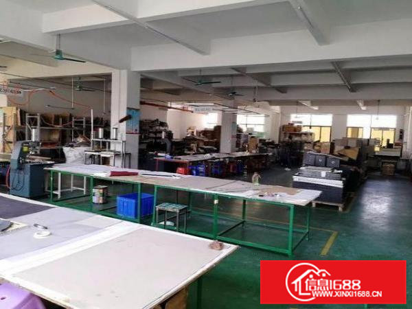 原房东，清溪800平米精装修3楼标准厂房，现成办公室