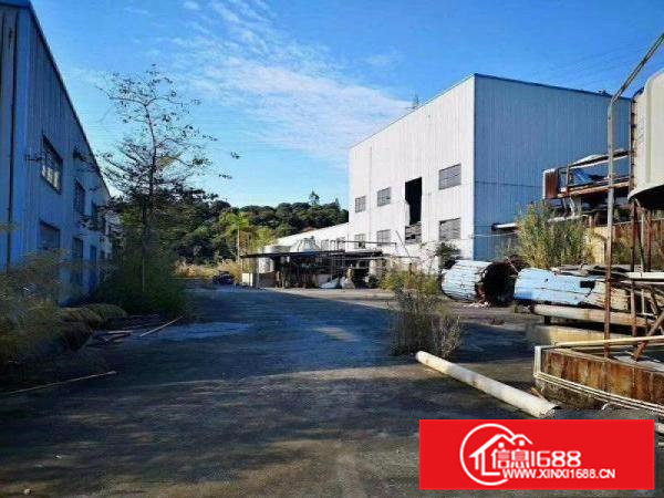 惠阳新圩长布钢构厂房一楼分租500平方