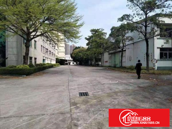 大沙新出1000平独栋独院带环评带装修独院厂房出租