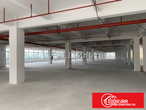 红旗标准厂房首层800方出租大路边