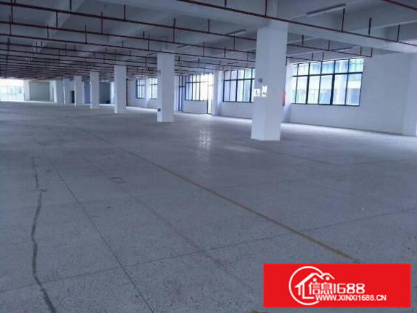 惠阳秋长原房东4、5楼每层1450平带装修，急租