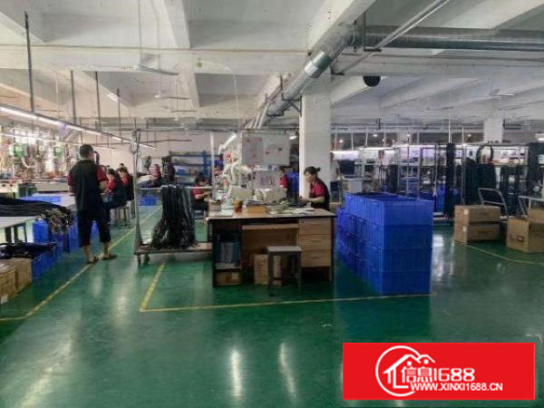 塘厦横塘带流水线带装修厂房出租楼上1650平米价格便宜