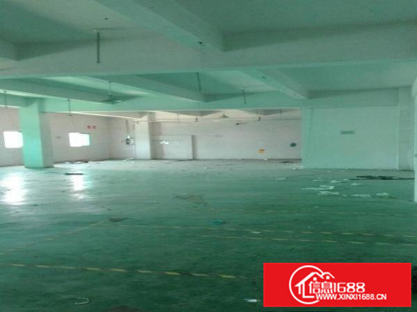 雁田新空出高大上1000平米左右厂房招租