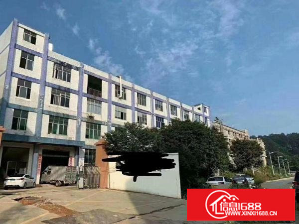 龙岗龙东原房东厂房楼上带装修厂房550平米出租