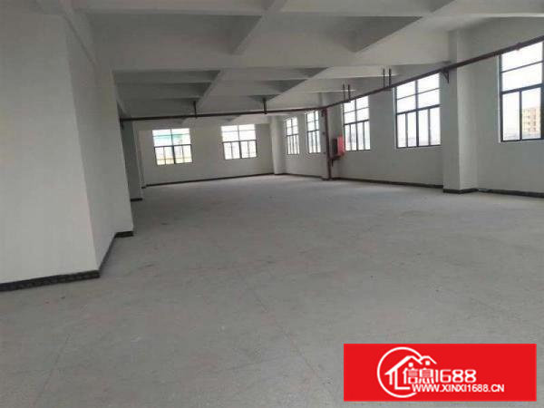 大岭山镇太公岭村标准楼上2楼700平厂房出租信息