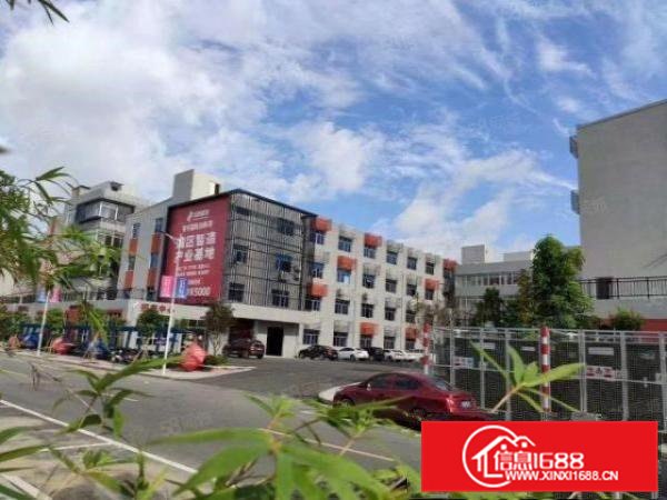 特价厂房楼上1323平已刷地坪漆出租，适用于办公研发