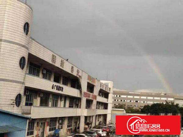 出租清溪镇清溪三中大面积钢构厂房租价低直8元每平