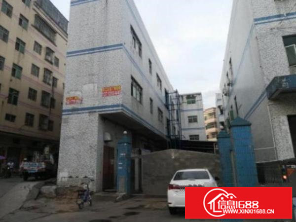 平湖鹅公岭独院一楼整层800平无公摊