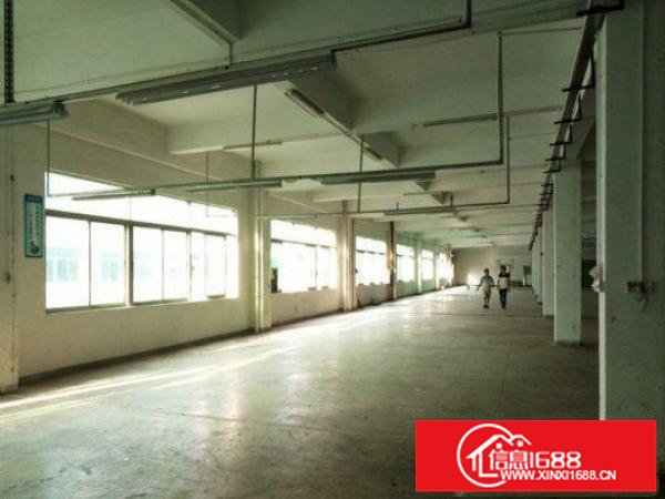 出租坪山新区坑梓楼上1350平方带简单装修厂房