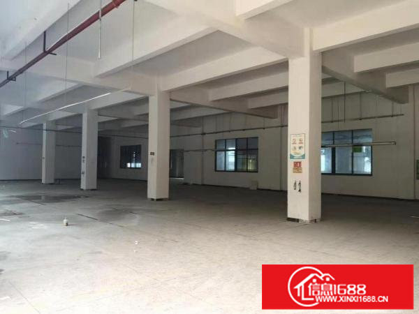 园山大康社区独院厂房出租空地超大1600平米