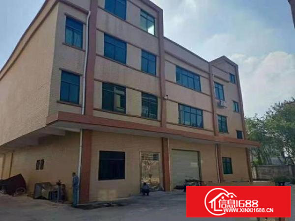 石排福隆原房东出租1500平方，有电梯，位置佳