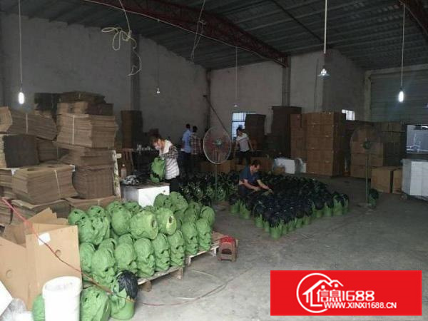 惠阳秋长白石三角塘新出一楼1200钢构原房东出租，